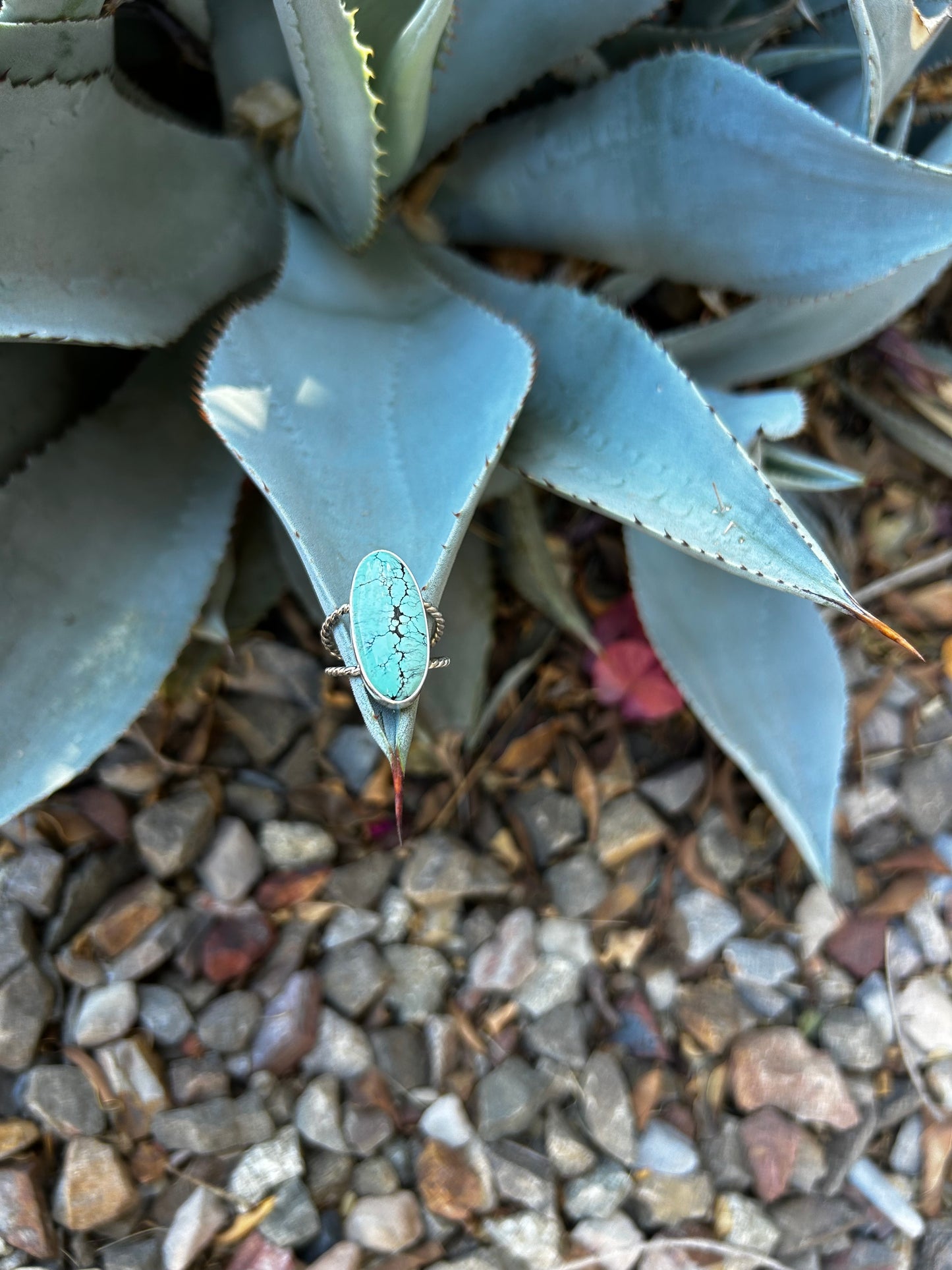 Wild Horse Turquoise Ring